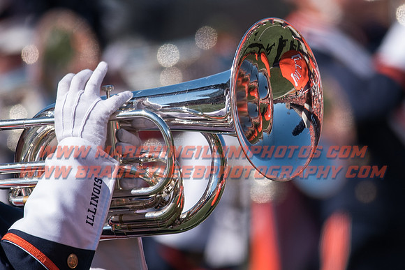 Purdue Boilermakers at Illinois Fighting Illini, Saturday, October 8, 2016 - Marching Illini Photos