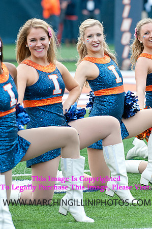 Michigan State Spartans at Illinois Fighting Illini, Saturday, October 26, 2013 - Marching Illini Photos