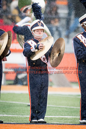 Wisconsin Badgers at Illinois Fighting Illini, Saturday, October 28, 2017 - Marching Illini Photos