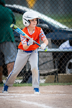 July 28, 2018 Little League State Tournament Champaign East vs. Homewood Heights