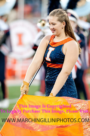 Northwestern Wildcats at Illinois Fighting Illini, Saturday, November 30, 2013 - Marching Illini Photos