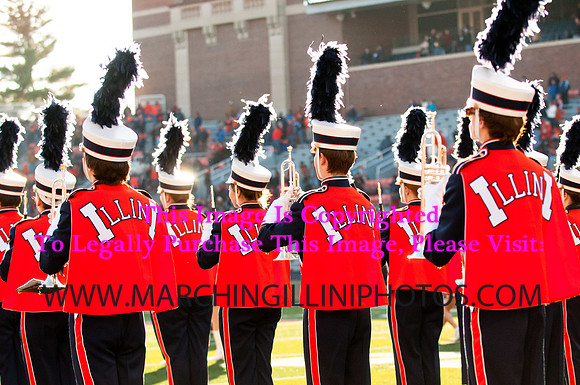 Northwestern Wildcats at Illinois Fighting Illini, Saturday, November 30, 2013 - Marching Illini Photos