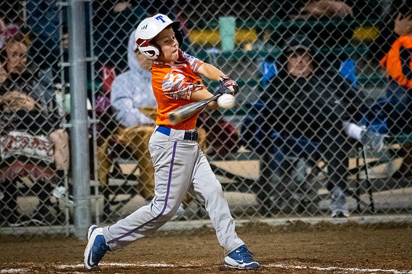 July 22, 2018 Little League Section All-Star TournamentChampaign East vs. Macomb