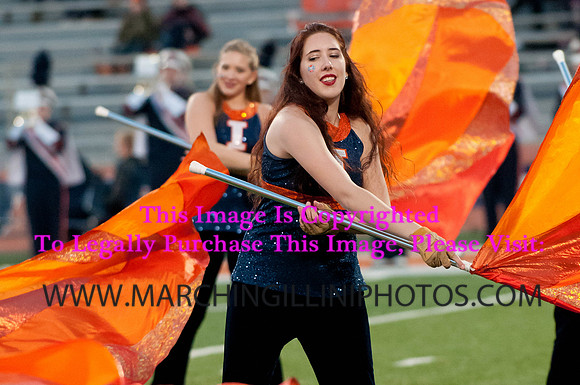 Northwestern Wildcats at Illinois Fighting Illini, Saturday, November 30, 2013 - Marching Illini Photos