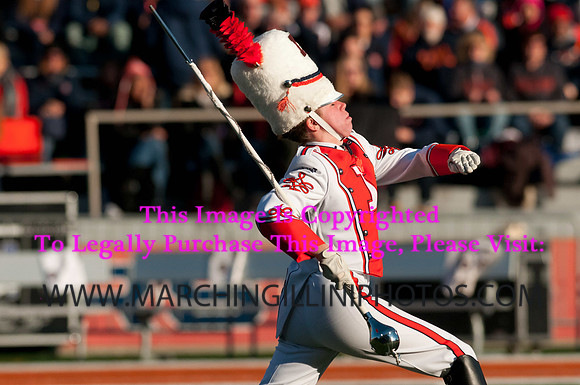 Northwestern Wildcats at Illinois Fighting Illini, Saturday, November 30, 2013 - Marching Illini Photos
