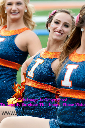 Michigan State Spartans at Illinois Fighting Illini, Saturday, October 26, 2013 - Marching Illini Photos