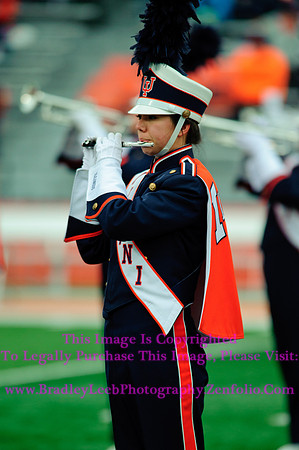 Penn State Nittany Lions at Illinois Fighting Illini, Saturday, November 22, 2014 - Marching Illini Photos