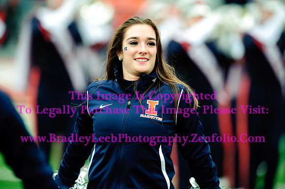 Penn State Nittany Lions at Illinois Fighting Illini, Saturday, November 22, 2014 - Marching Illini Photos