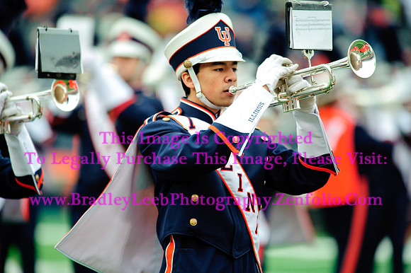 Penn State Nittany Lions at Illinois Fighting Illini, Saturday, November 22, 2014 - Marching Illini Photos