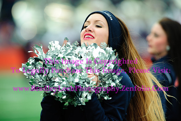 Penn State Nittany Lions at Illinois Fighting Illini, Saturday, November 22, 2014 - Marching Illini Photos