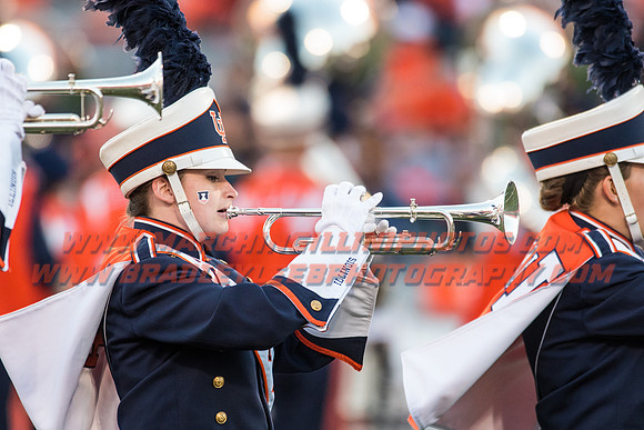 North Carolina at Illinois Fighting Illini, Saturday, September 10, 2016 - Marching Illini Photos