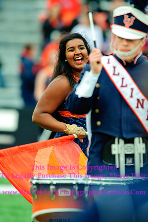 Penn State Nittany Lions at Illinois Fighting Illini, Saturday, November 22, 2014 - Marching Illini Photos