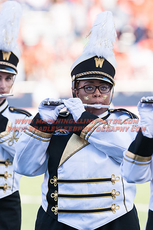 Western Michigan Broncos at Illinois Fighting Illini, Saturday, September 17, 2016 - Marching Illini Photos