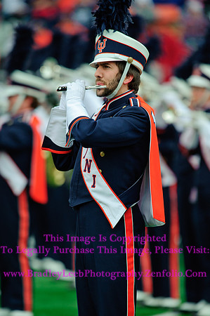 Penn State Nittany Lions at Illinois Fighting Illini, Saturday, November 22, 2014 - Marching Illini Photos