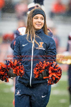Wisconsin Badgers at Illinois Fighting Illini, Saturday, October 28, 2017 - Marching Illini Photos