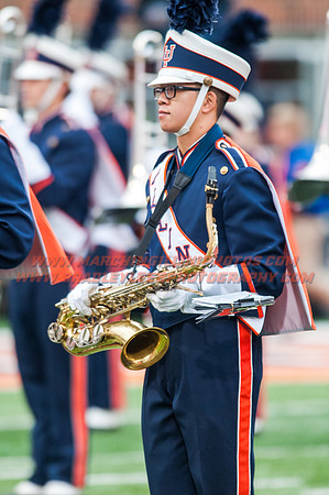 Wisconsin at Illinois, Saturday, Oct. 24, 2015 - Marching Illini Photos