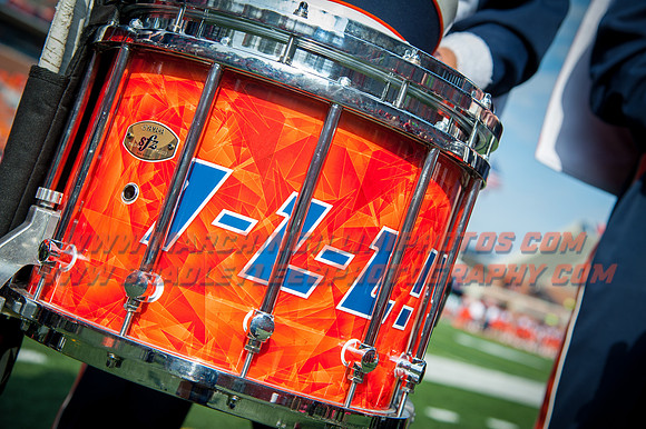 Rutgers Scarlett Knights at Illinois Fighting Illini, Saturday, October 14, 2017 - Marching Illini Photos