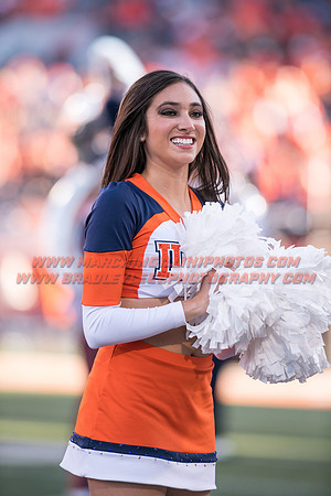 Purdue Boilermakers at Illinois Fighting Illini, Saturday, October 8, 2016 - Marching Illini Photos