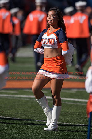 Purdue Boilermakers at Illinois Fighting Illini, Saturday, October 8, 2016 - Marching Illini Photos