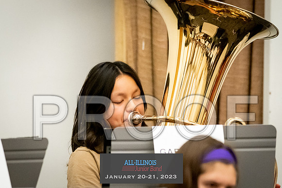 2023 All-Illinois Junior BandJanuary 20-21, 2023