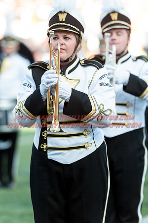 Western Michigan Broncos at Illinois Fighting Illini, Saturday, September 17, 2016 - Marching Illini Photos