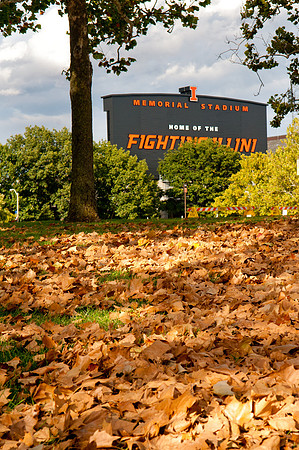 Champaign Chamber of Commerce Community Link MagazineBradley Leeb PhotographyBradleyLeebPhotography.comBradleyLeebPhotography@gmail.com217.721.9190