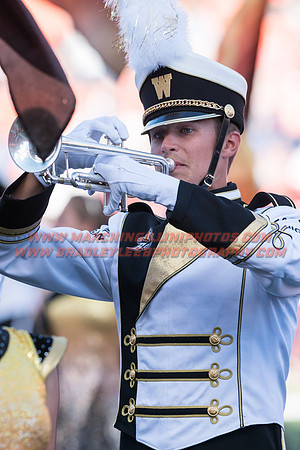 Western Michigan Broncos at Illinois Fighting Illini, Saturday, September 17, 2016 - Marching Illini Photos