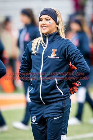 Wisconsin Badgers at Illinois Fighting Illini, Saturday, October 28, 2017 - Marching Illini Photos
