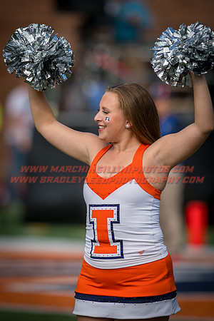 Rutgers Scarlett Knights at Illinois Fighting Illini, Saturday, October 14, 2017 - Marching Illini Photos