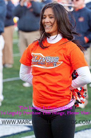 Michigan State Spartans at Illinois Fighting Illini, Saturday, October 26, 2013 - Marching Illini Photos