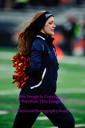 Penn State Nittany Lions at Illinois Fighting Illini, Saturday, November 22, 2014 - Marching Illini Photos
