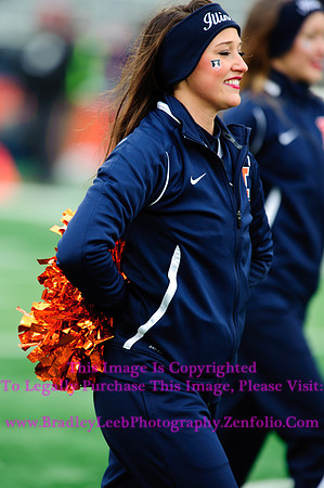 Penn State Nittany Lions at Illinois Fighting Illini, Saturday, November 22, 2014 - Marching Illini Photos