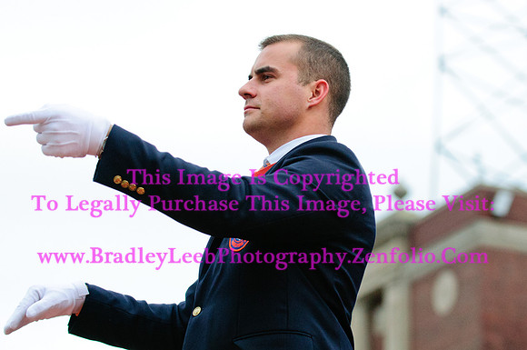 Penn State Nittany Lions at Illinois Fighting Illini, Saturday, November 22, 2014 - Marching Illini Photos