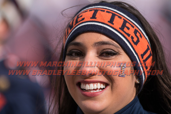 Iowa at Illinois, Saturday, November 19, 2016 - Marching Illini Photos