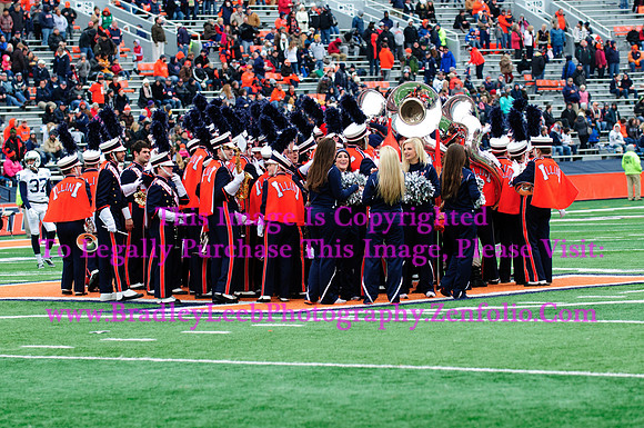 Penn State Nittany Lions at Illinois Fighting Illini, Saturday, November 22, 2014 - Marching Illini Photos