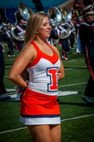 Rutgers Scarlett Knights at Illinois Fighting Illini, Saturday, October 14, 2017 - Marching Illini Photos