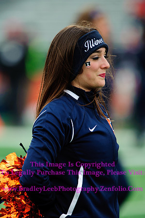 Penn State Nittany Lions at Illinois Fighting Illini, Saturday, November 22, 2014 - Marching Illini Photos