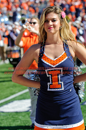 Minnesota Illinois Football