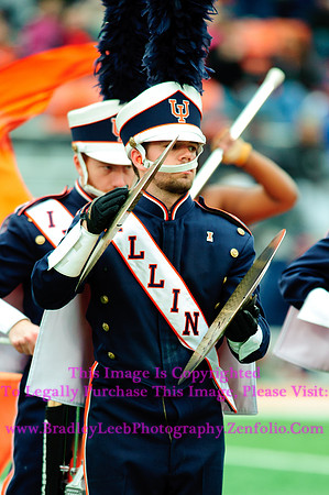 Penn State Nittany Lions at Illinois Fighting Illini, Saturday, November 22, 2014 - Marching Illini Photos