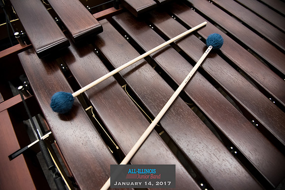 2017 All-Illinois Junior BandJanuary 13-14, 2017University of Illinois campuswww.BradleyLeebPhotography.com