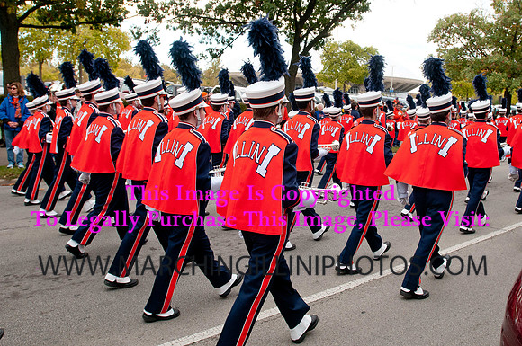 Michigan State Spartans at Illinois Fighting Illini, Saturday, October 26, 2013 - Marching Illini Photos