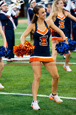 Texas State at Illinois, Saturday, September 20, 2014 - Marching Illini Photos