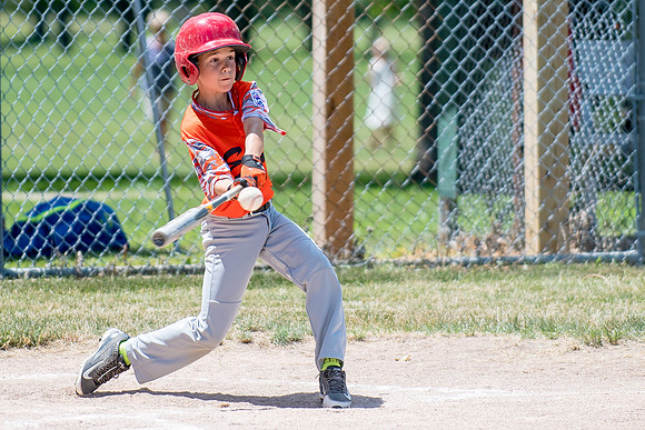 Champaign East Little League All-Stars (Borders)June 25, 2017, www.BradleyLeebPhotography.com