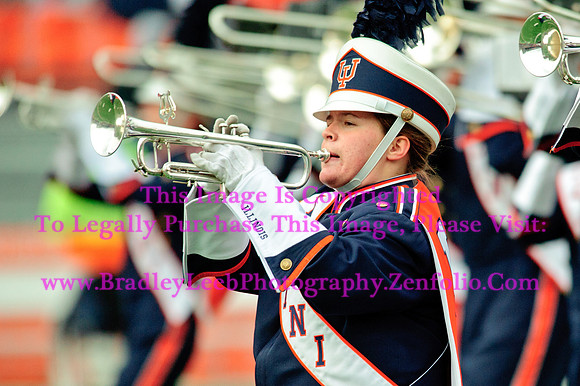 Penn State Nittany Lions at Illinois Fighting Illini, Saturday, November 22, 2014 - Marching Illini Photos
