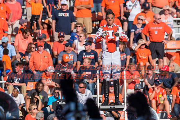 Western Michigan Broncos at Illinois Fighting Illini, Saturday, September 17, 2016 - Marching Illini Photos