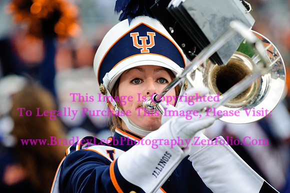 Penn State Nittany Lions at Illinois Fighting Illini, Saturday, November 22, 2014 - Marching Illini Photos