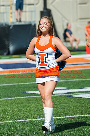 Western Michigan Broncos at Illinois Fighting Illini, Saturday, September 17, 2016 - Marching Illini Photos