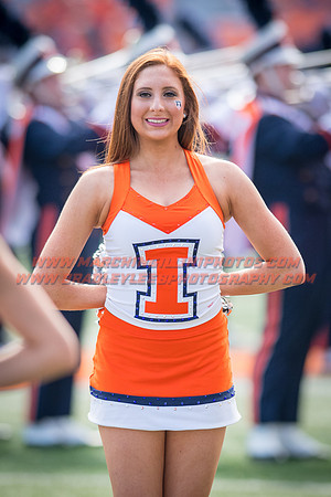 Rutgers Scarlett Knights at Illinois Fighting Illini, Saturday, October 14, 2017 - Marching Illini Photos