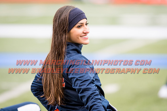 Wisconsin Badgers at Illinois Fighting Illini, Saturday, October 28, 2017 - Marching Illini Photos