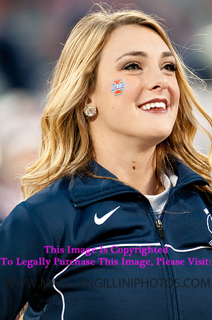 Northwestern Wildcats at Illinois Fighting Illini, Saturday, November 30, 2013 - Marching Illini Photos